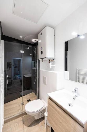 une salle de bain avec toilettes, lavabo et douche dans l'établissement Le doux nid - Résidence Hestia, à Saint-Étienne