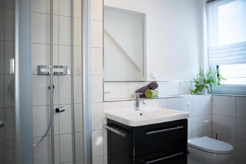 W łazience znajduje się umywalka, prysznic i toaleta. w obiekcie Gästezimmer Düll w mieście Dettelbach