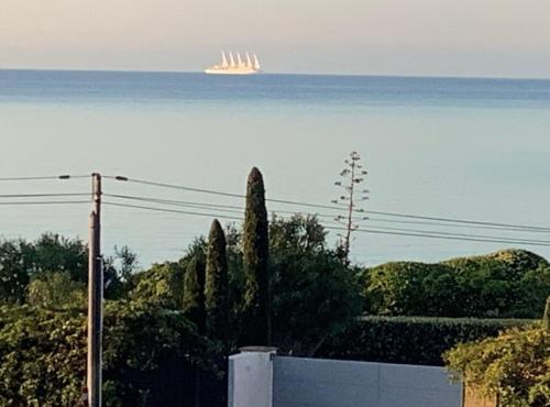 ein großes weißes Schiff im Wasser mit Bäumen in der Unterkunft RESIDENCE SAMBRO - Jacuzzi et piscine chauffée vue mer - 4 étoiles in Les Issambres