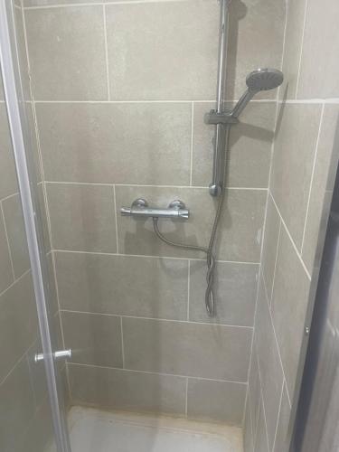 a shower with a shower head in a bathroom at ClydeView Apartments in Langbank