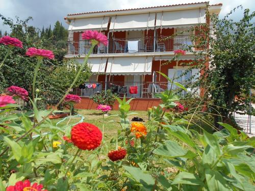 a building with flowers in front of it at Diona Studios in Lourdhata