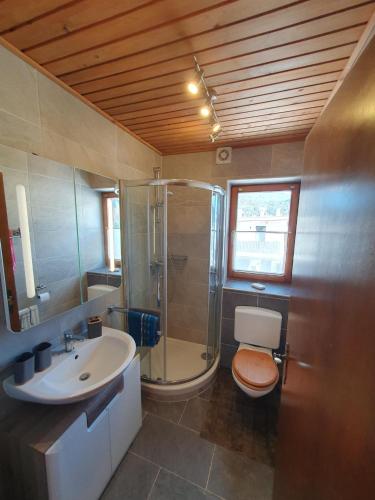 een badkamer met een douche, een toilet en een wastafel bij Ferienwohnungen Riedl in Scharnitz