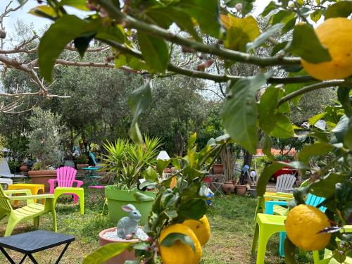 a group of colorful chairs and tables in a garden at Hôtel Punta e Mare des Chambres ou des Appartements T2 in Cargèse