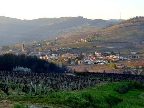 una ciudad en un valle con un montón de vides en Au cœur des vignes Moulin à Vent en La Chapelle-de-Guinchay