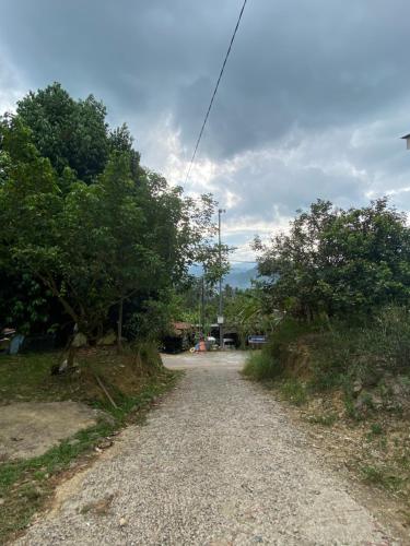 a gravel road with trees on either side of it at Homestay D'Bukit in Jeli