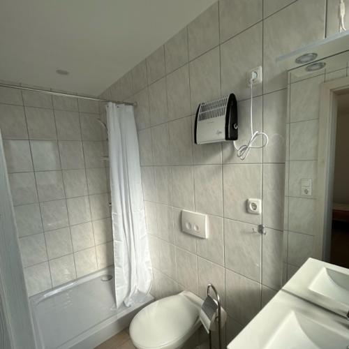 a bathroom with a toilet and a shower and a sink at Ferienpark Buntspecht Apartment B in Pruchten