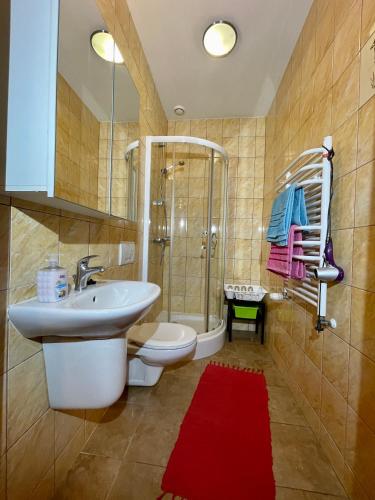 a bathroom with a sink and a toilet and a shower at Red Rose in Władysławowo