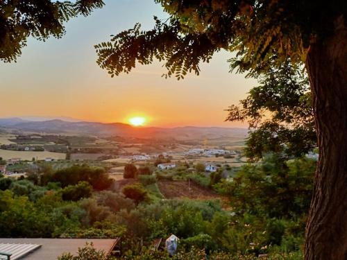 a sunset view of a city from a tree at La casina di Alicia in Montenero di Bisaccia
