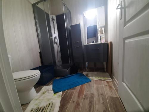 Vonios kambarys apgyvendinimo įstaigoje Chalet scandinave