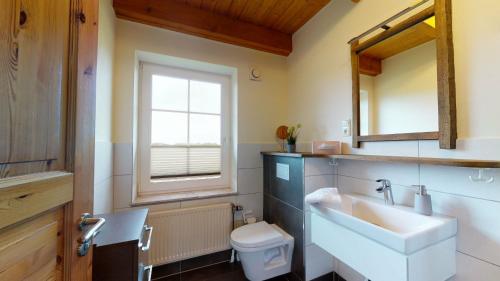 ein Badezimmer mit einem Waschbecken, einem WC und einem Spiegel in der Unterkunft Ferienbauernhof Liesenberg Jagdreihenhaus Fuchs in Fehmarn