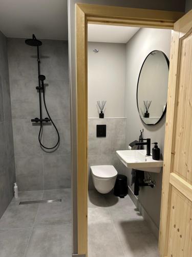 a bathroom with a shower and a toilet and a sink at Igates pils Brīvdienu māja in Myza Igate