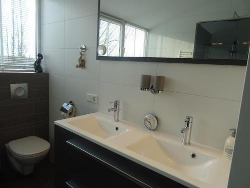 a bathroom with a sink and a toilet and a mirror at Kustverhuur, Landgoed de Lente in Breskens