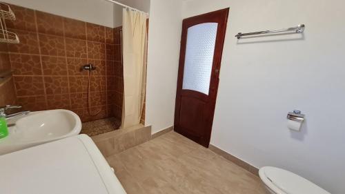 een badkamer met een wastafel, een toilet en een douche bij Sarudi vendégház in Sarud