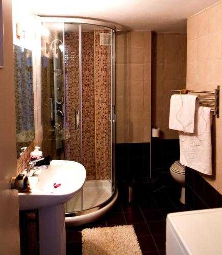 a bathroom with a shower and a sink and a toilet at Calma Apartments & Studios in Plakias