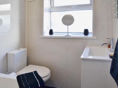 a bathroom with a toilet and a sink and a mirror at Billy Napps Cottage in Filey