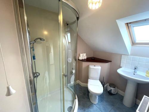 a bathroom with a shower and a toilet and a sink at Beautiful Rural 3BR Cottage with Stunning Views in Auldgirth
