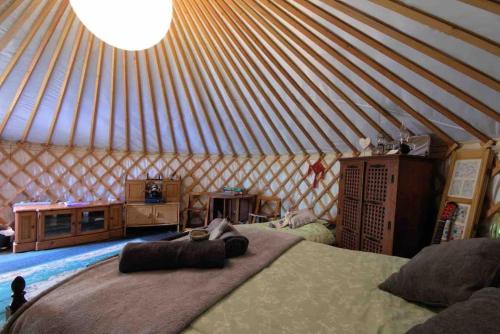 Χώρος καθιστικού στο Magical Forest yurt