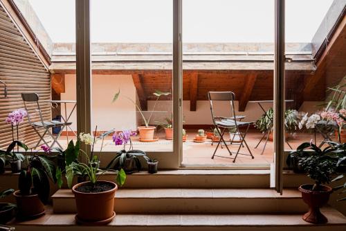 a room with potted plants and chairs and a window at Casa Isolani Charms Rooms Santo Stefano in Bologna