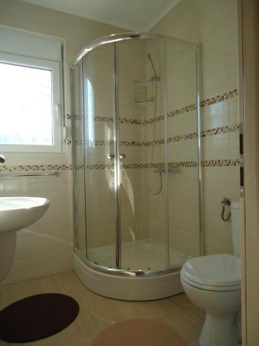 a bathroom with a shower and a toilet and a sink at Villa Soleada in Herceg-Novi