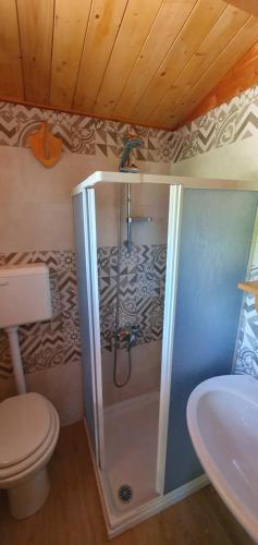 a bathroom with a shower and a toilet and a sink at Casa di Pier e Nanni by Salento com in Gallipoli