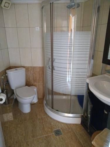 a bathroom with a toilet and a shower and a sink at Polychrono Beach Hotel in Polykhrono