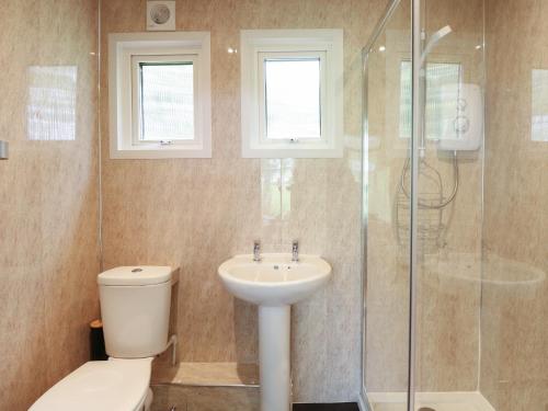 a bathroom with a toilet and a sink and a shower at 107 Kings Chalet Park in Cromer