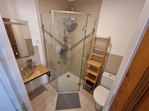 a bathroom with a shower and a toilet and a ladder at Dans maison de maître, appartement indépendant. in Montfrin