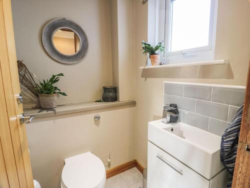 a bathroom with a toilet and a sink and a mirror at Millbrook Cottage in Dalbeattie