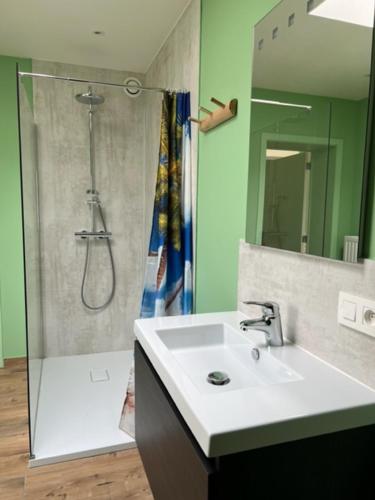 a bathroom with a sink and a shower with a shower at Wante 20 in Bruges