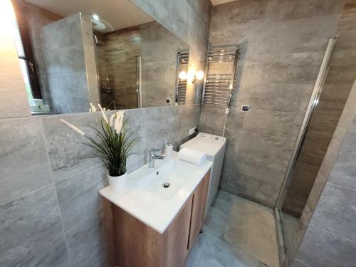 y baño con lavabo y ducha. en Country House - apartamenty blisko Energylandii en Spytkowice