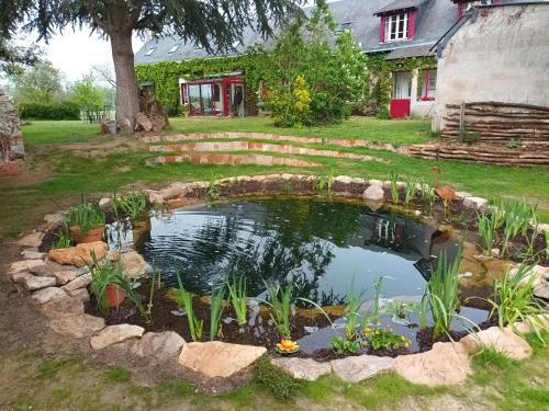 a pond in the yard of a house at gîte en bord de Loire in Saint-Sulpice