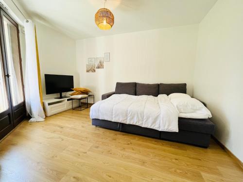 1 dormitorio con 1 cama y TV de pantalla plana en le Clos des Trolles - Hauteurs d'Annecy en Annecy