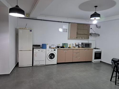 Kuchyň nebo kuchyňský kout v ubytování Vila Ris Bucharest Unirii ,Centru