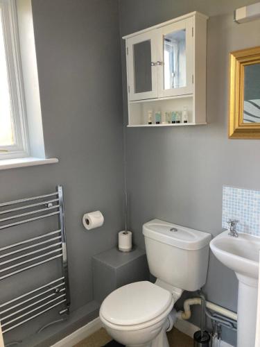 a bathroom with a white toilet and a sink at Ballantrae in Wool