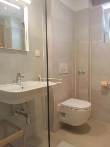 a bathroom with a toilet and a sink and a shower at Drance Apartments in Selce