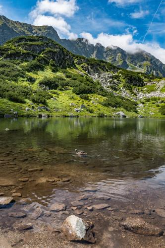 Gallery image of Chalet West - Zuberec in Zuberec