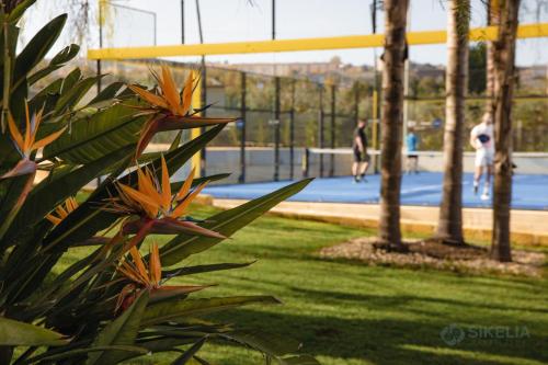 a plant with orange flowers next to a basketball court at B&B Villa Seta in Agrigento