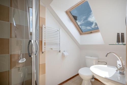 a bathroom with a toilet and a sink at Dworek u Leszczyńskich in Gościszewo
