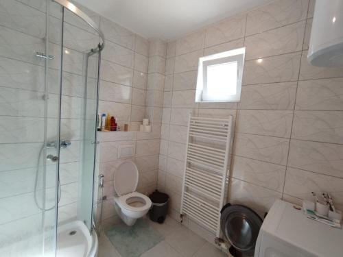 y baño con aseo y ducha acristalada. en Azure apartments en Ilijaš
