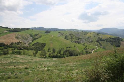 a view of a green hill with a road on it at Ca' Morano in Pavullo nel Frignano