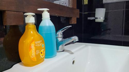 two bottles of detergent sitting on a bathroom sink at Greenville Resort and Spa in Dambulla