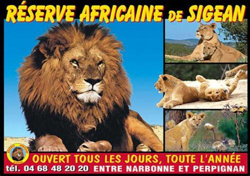 a collage of pictures of a lion and a lion cub at Charmant appartement à Sigean - 23 m² - Climatisation in Sigean