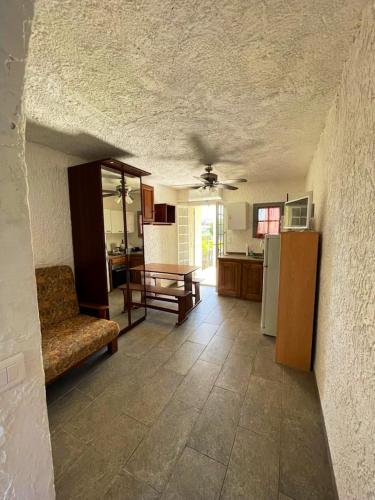 un salon avec un canapé et une cuisine dans l'établissement Charmant studio à Linguizzetta 23 m² avec terrasse privéeC, à Linguizzetta