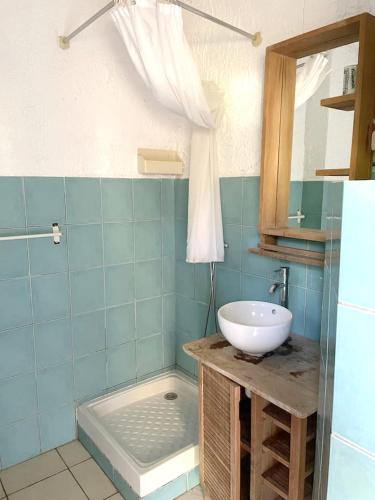 une salle de bain avec un lavabo et un miroir dans l'établissement Charmant studio à Linguizzetta 23 m² avec terrasse privéeC, à Linguizzetta