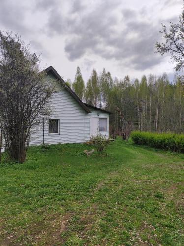 a white house in a field with a yard at Bluci seksti in Seksti