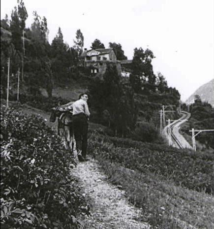 a man walking down a dirt road with a horse at Masia Can Constans in Queralbs