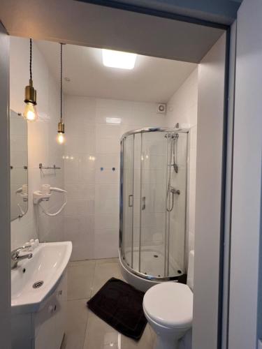 W łazience znajduje się prysznic, toaleta i umywalka. w obiekcie Apartamenty Łowicz w Łowiczu