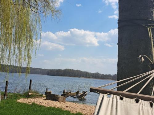 a boat on the shore of a lake at Siedlisko nad Jeziorem-Mazury in Mrągowo