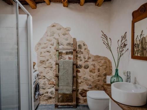 a bathroom with a stone wall with a toilet and a sink at Cas Orvais con piscina y jardín in Sant Jordi