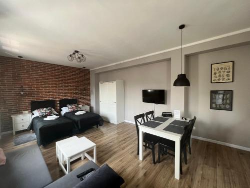 TV a/nebo společenská místnost v ubytování Apartamenty Łowicz